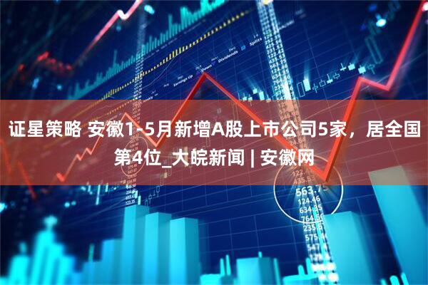 证星策略 安徽1-5月新增A股上市公司5家，居全国第4位_大皖新闻 | 安徽网