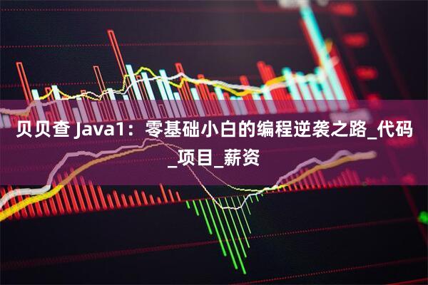 贝贝查 Java1：零基础小白的编程逆袭之路_代码_项目_薪资